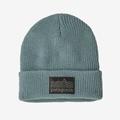 Thermal Blue - Patagonia - Kid's Logo Beanie