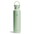 Aloe - Hydro Flask - 24 oz Standard Mouth