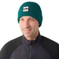 Emerald Green Heather - Smartwool - Patch Beanie