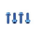 Blue - Wolf Tooth Components - Water Bottle Cage Bolts