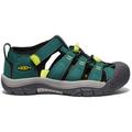 Aventurine/Evening Primrose - Keen - Big Kids' Newport H2