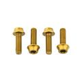 Gold - Wolf Tooth Components - Water Bottle Cage Bolts