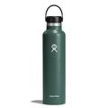 Fir - Hydro Flask - 24 oz Standard Mouth - Rain