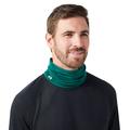 Evergreen - Smartwool - Active Neck Gaiter