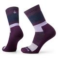 Purple Iris - Smartwool - Everyday Blocked Stripe Light Cushion Crew Socks