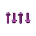 Purple - Wolf Tooth Components - Water Bottle Cage Bolts