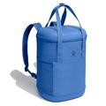 Cascade - Hydro Flask - 20 L Carry Out Soft Cooler Pack