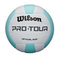 Blue - Wilson - Pro Tour Volleyball