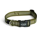 Moss Reflective - Chaco - Dog Collar