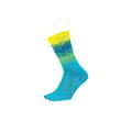 Neptune/Neon Green/Process Blue/Neon Yellow - DeFeet - Barnstormer 6" Ombre