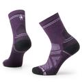 Purple Iris - Smartwool - Women's Hike Light Cushion Mid Crew Socks