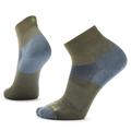 Winter Moss - Smartwool - Bike Zero Cushion Ankle Socks