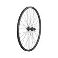 Black - Sta-Tru - 26" Tubeless Ready Alloy QR Wheel - UCP Spokes