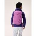 Alpenglow - Arc'teryx - Mantis 26 Backpack