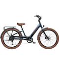 Shark Grey - Electra - Townie Go! S