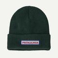 Conifer Green - Patagonia - Kid's Logo Beanie