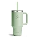 Aloe - Hydro Flask - 32 oz Travel Tumbler