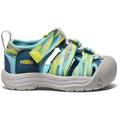 Legion Blue/Evening Primrose - Keen - Toddlers' Newport H2