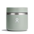 Agave - Hydro Flask - 20 oz Insulated Food Jar