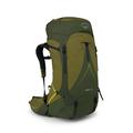 Scenic Valley/Green Peppercorn - Osprey Packs - Atmos AG LT 65