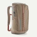 Seabird Grey - Patagonia - Black Hole Pack 25L