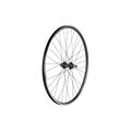 Black - Electra - 2021 Townie 7D 26" Wheels