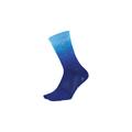 Royal/DeFeet Blue/Process Blue/Carolina - DeFeet - Barnstormer 6" Ombre