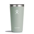 Agave - Hydro Flask - 20 oz All Around Tumbler