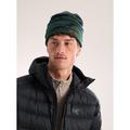 Eden / Black - Arc'teryx - Grotto Toque