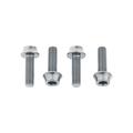 Silver - Wolf Tooth Components - Water Bottle Cage Bolts