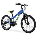 Blue - Fuji Bikes - Dynamite 20