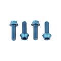 Teal - Wolf Tooth Components - Water Bottle Cage Bolts