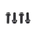 Black - Wolf Tooth Components - Water Bottle Cage Bolts