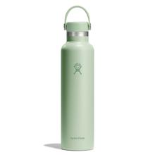 24 oz Standard Mouth - Aloe by Hydro Flask in Mishawaka IN