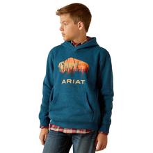 Bison Plains Hoodie by Ariat