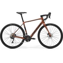 eSilex 400 Bronze/Black - MY24