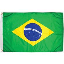 Taylor Made Brazil Flag, 12" x 18" by LIPPERT