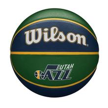 NBA Team Tribute Basketball by Wilson in Indianapolis IN