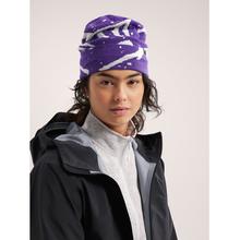 Lightweight Grotto Toque by Arc'teryx in Quesnel BC