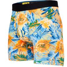 Men's Kabana Boxer Briefs  Multi-Colored