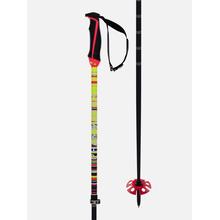 Phantastick Fr Poles (Adjustable) by Volkl