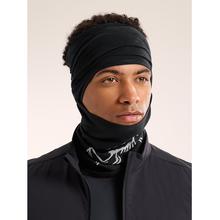 Norvan Balaclava by Arc'teryx in Durham NC