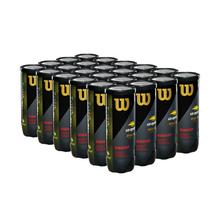 US Open Regular Duty 3 Ball Can (24 Pack) by Wilson in Concord NC