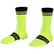 Bontrager Race Crew Cycling Sock by Trek in Loveland CO