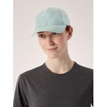 Bird Word Cap by Arc'teryx in Twin Lake MI