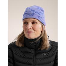 Bird Head Toque by Arc'teryx