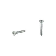 Self-Tapping Zinc Plated Screw