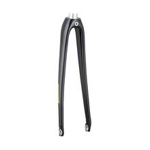 2021 Domane AL 2 700c Rigid Forks by Trek