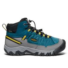 Big Kids' Targhee IV Waterproof Hiking Boot