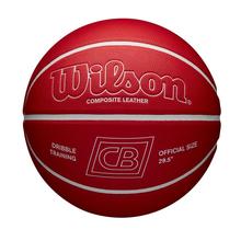 Chris Brickley Dribble Training Ball by Wilson